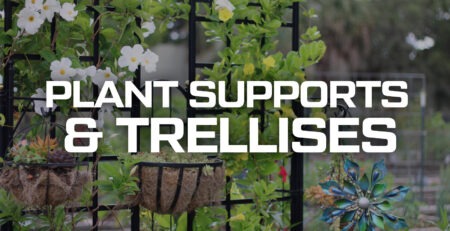 Plant supports and trellises