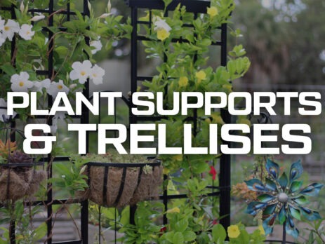 Plant supports and trellises