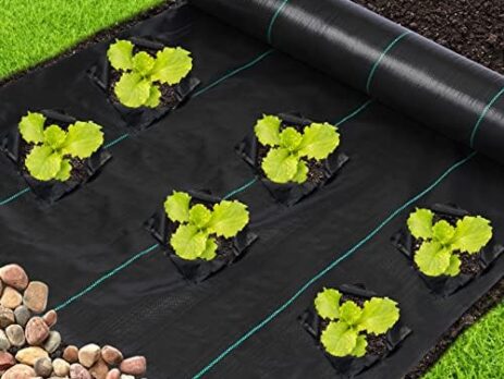 The Ultimate Guide to Garden Weed Barrier Fabric: Top Picks and Expert Advice