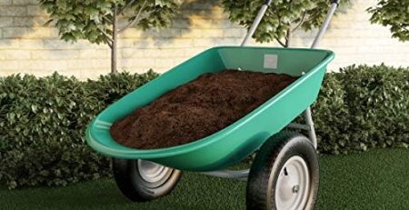 Garden Gear Showdown: Exploring the Versatility of Garden Carts vs. Wheelbarrows