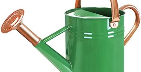 The Ultimate Oasis Organizer: Top 10 Stylish Garden Watering Cans!