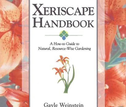 Garden Oasis: Top Xeriscaping Resources for a Water-Wise Landscape