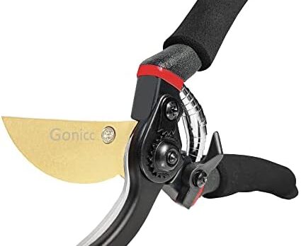 Trim with Precision: Top Picks for Garden Pruners