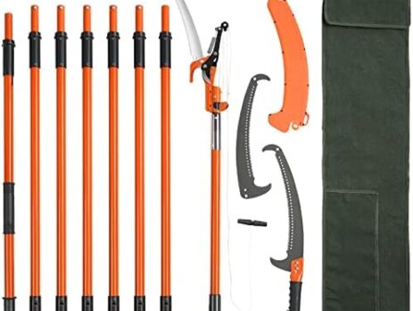 Garden Glory: Unveiling the Top Pole Pruners for a Blooming Landscape