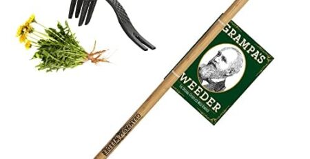 Weeding Out the Best: Garden Weeder Showcase