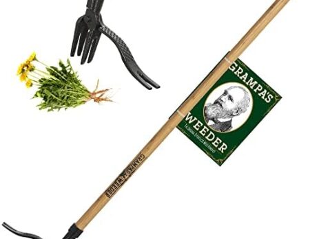 Weeding Out the Best: Garden Weeder Showcase