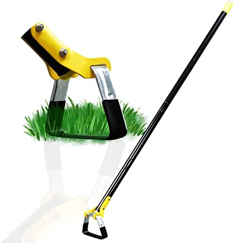 The Green Thumb's Best Friend: Unearthing the Finest Garden Hoes