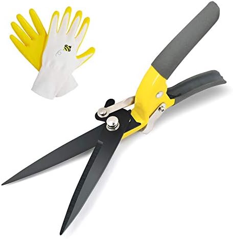 5 Innovative Garden Grass Shears: Revamp Your Lawn with Style!